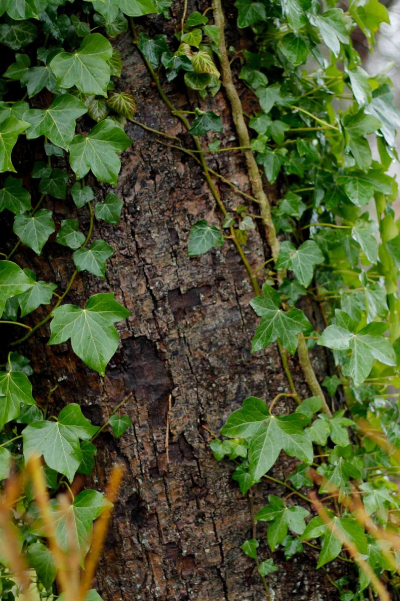 Nye bæredygtige målsætninger efter rekord.