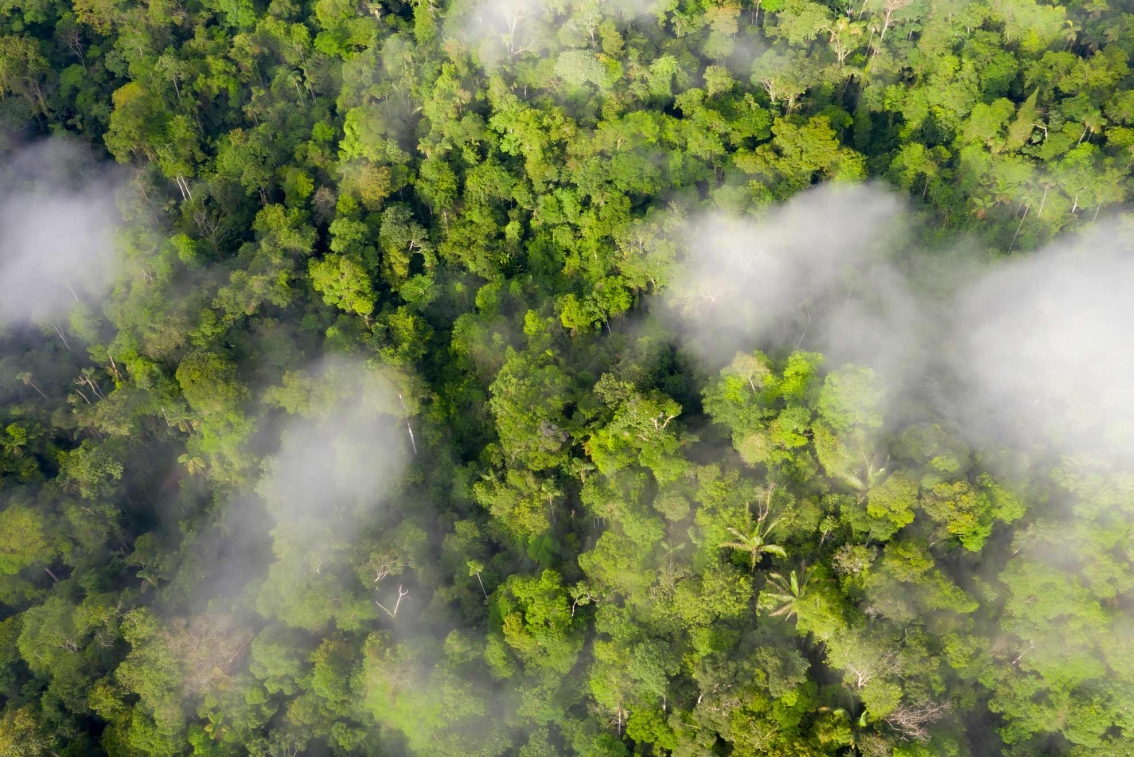 Tanke på fremtiden.