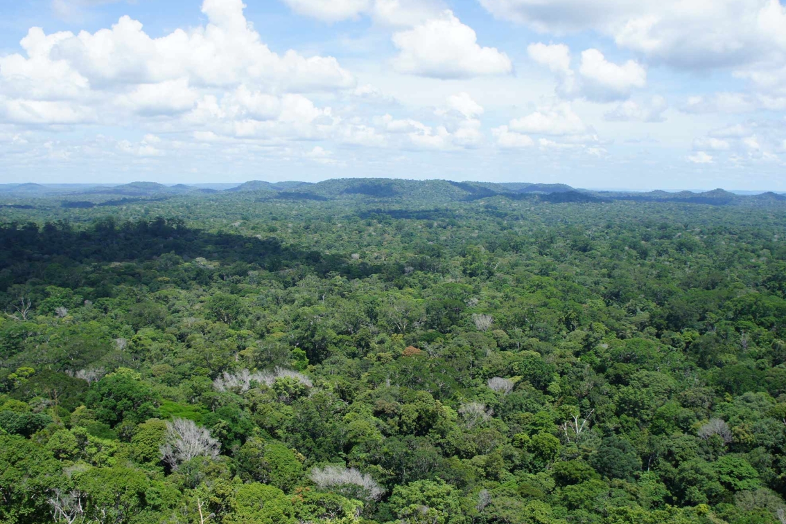 Amazone Initiative – Business Encounter.